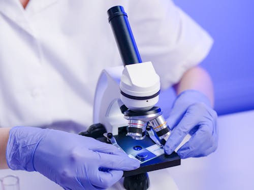 Free Person Holding a Microscope Slide Stock Photo