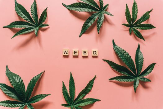 Artistic display of cannabis leaves with 'WEED' spelled using letter tiles on a pink background.