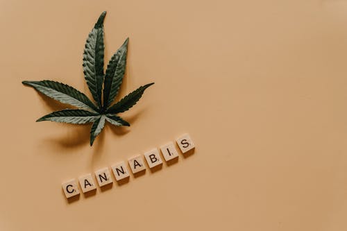 Foto d'estoc gratuïta de cànnabis, fons beix, mala herba