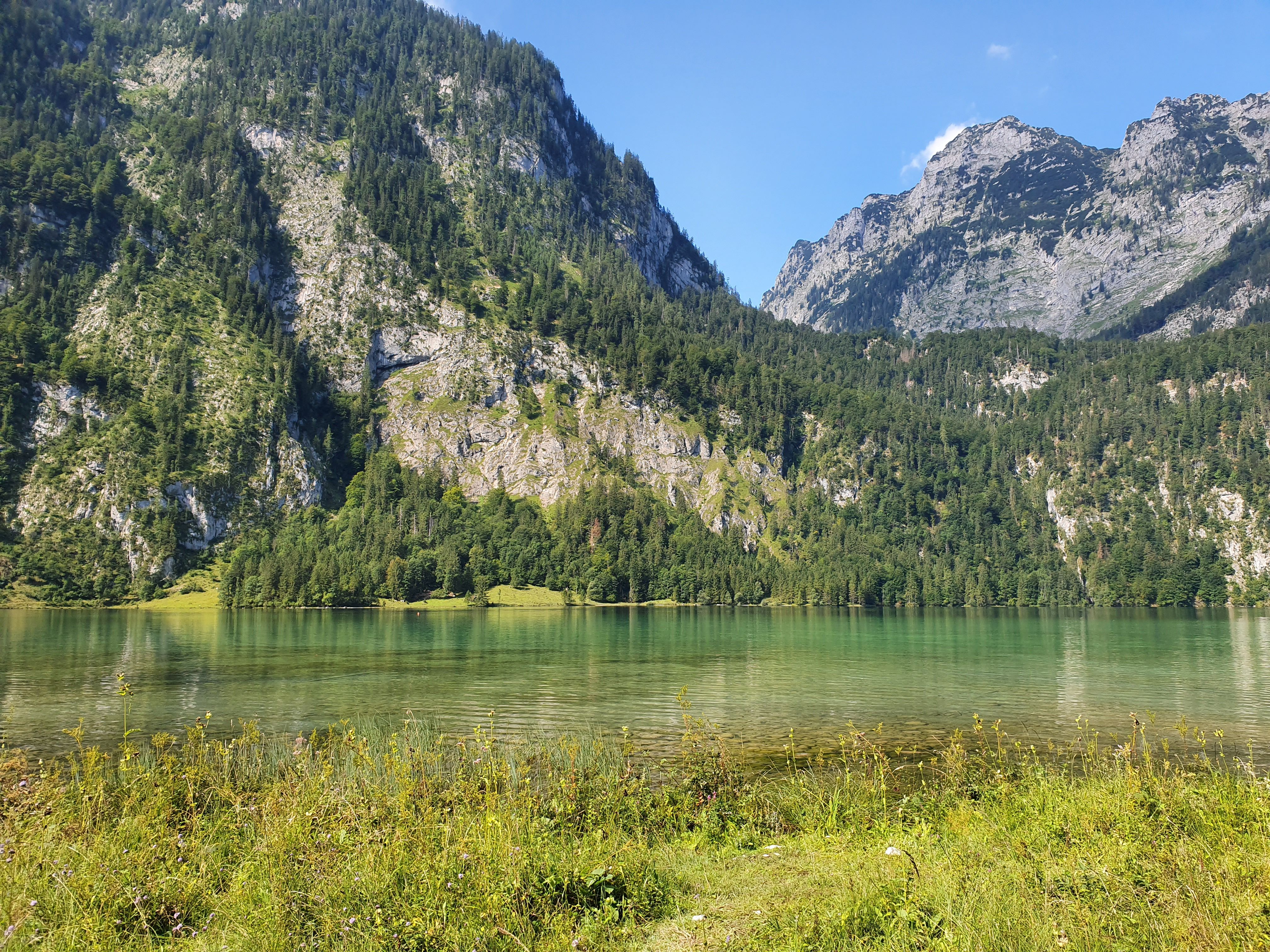 A Green Trees on Mountain Near the Lake Under the Blue Sky · Free Stock ...