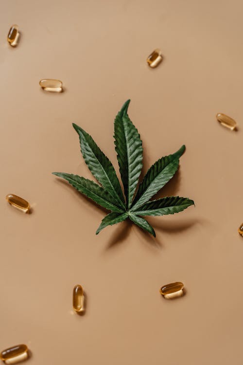 Marijuana Leaf and Soft Gel on a Brown Surface