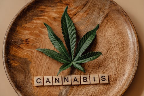 Kostnadsfri bild av cannabis, cannabis sativa, drog