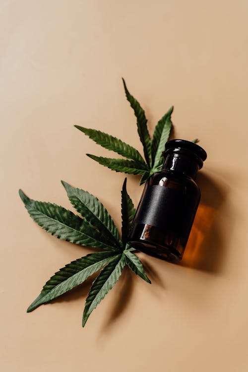 Green Marijuana Leaves and Brown Glass Bottle in Close-up Photography