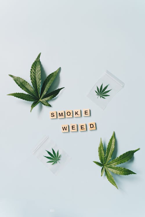 Letter Blocks Surrounded by Stickers and Marijuana Leaves