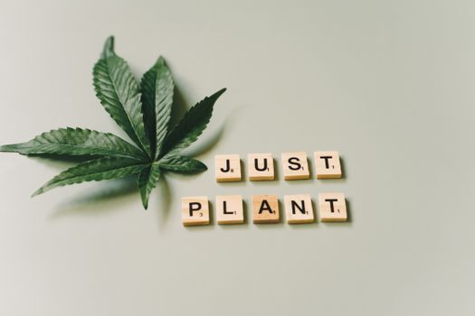 Cannabis leaf with wooden letter tiles spelling 'Just Plant' on a green background.