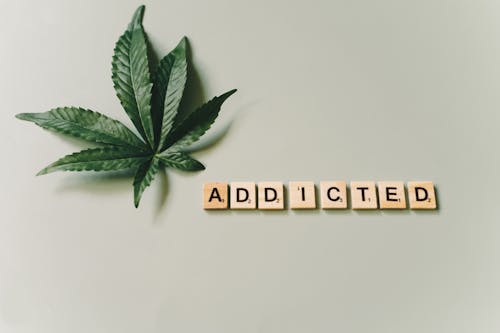 Letter Tiles Beside Marijuana Leaf on a Green Surface