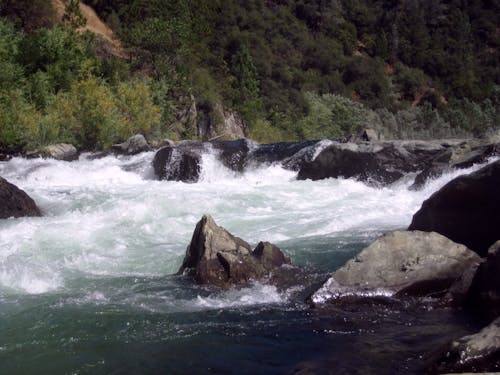 Бесплатное стоковое фото с американская река, калифорния, пороги