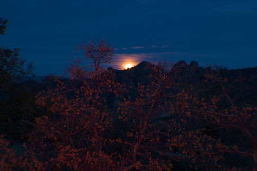 Безкоштовне стокове фото на тему «blue moon, ca, національний парк pinnacles»