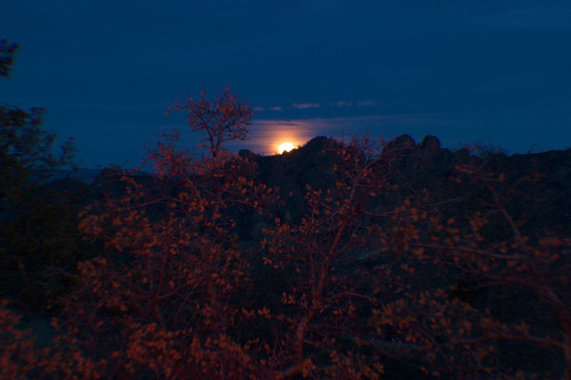 Бесплатное стоковое фото с голубая луна, калифорния, национальный парк пиннаклс