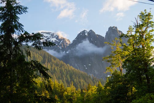 Бесплатное стоковое фото с варварский, вечнозеленый, гора
