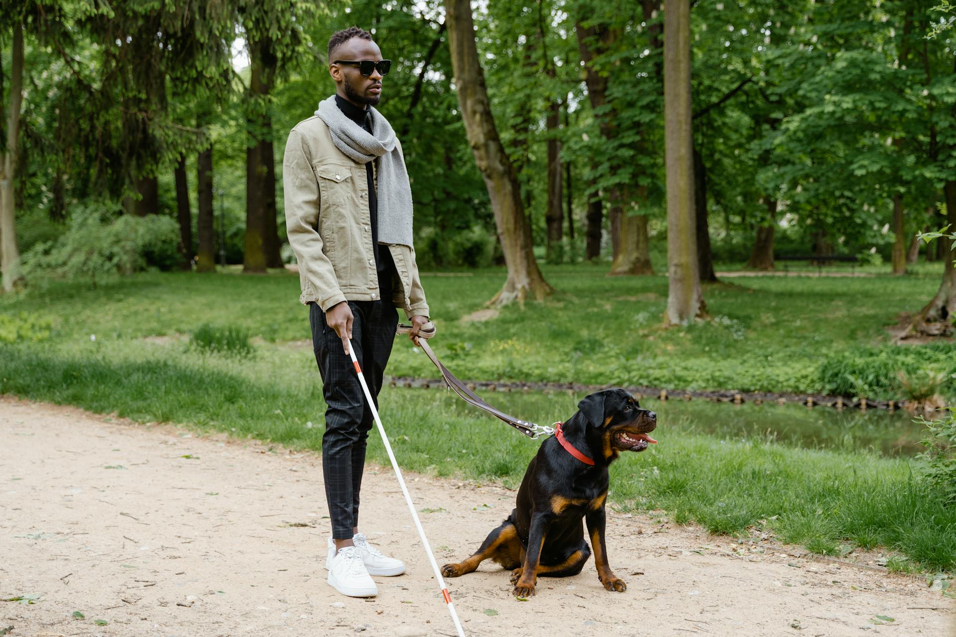 A Blind Man with a Guide Dog