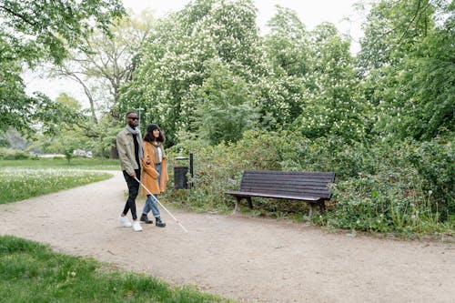 Ilmainen kuvapankkikuva tunnisteilla afroamerikkalainen mies, afroamerikkalaiset naiset, kävely