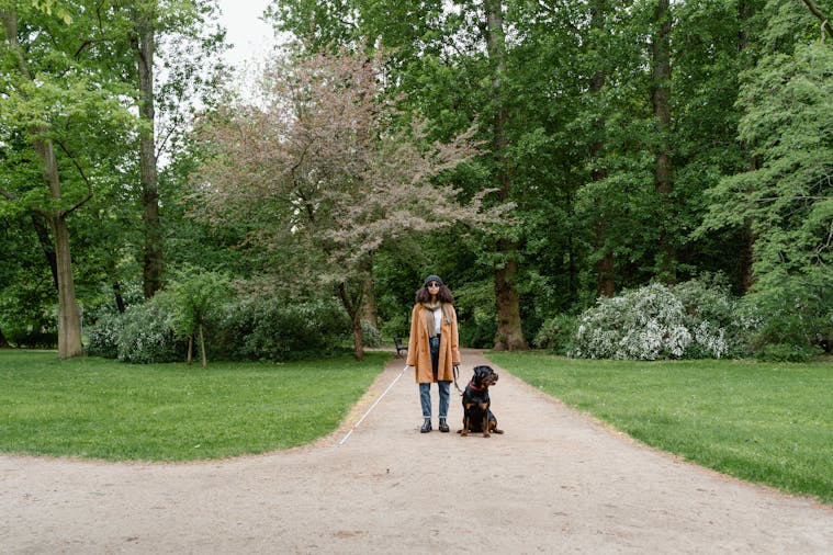 A visually impaired woman walks with her guide dog in a lush green park.