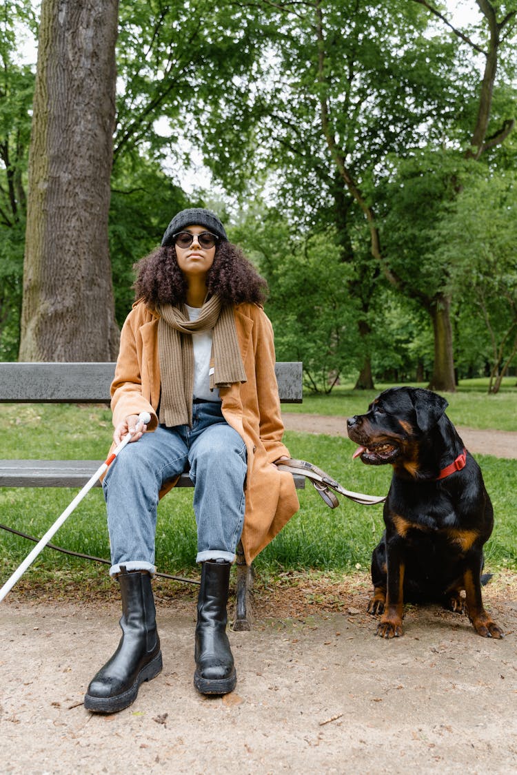 A Blind Woman Sitting On The Bench With Dog 