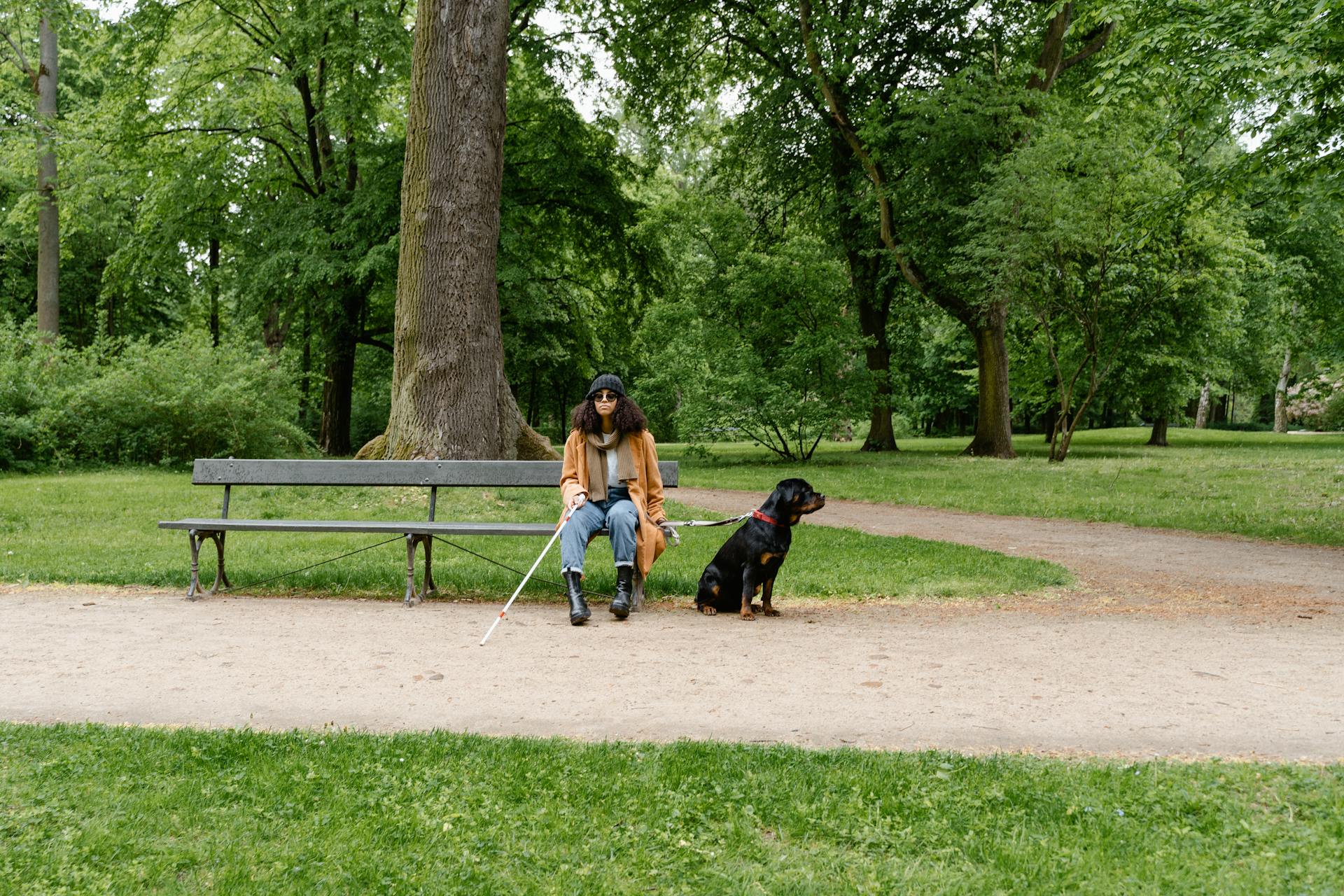 Woman Sitting on a Bench with her Dog