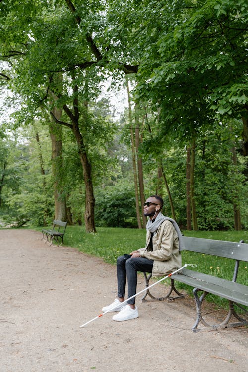 Free Man in the Park Sitting on Brown Wooden Bench Stock Photo