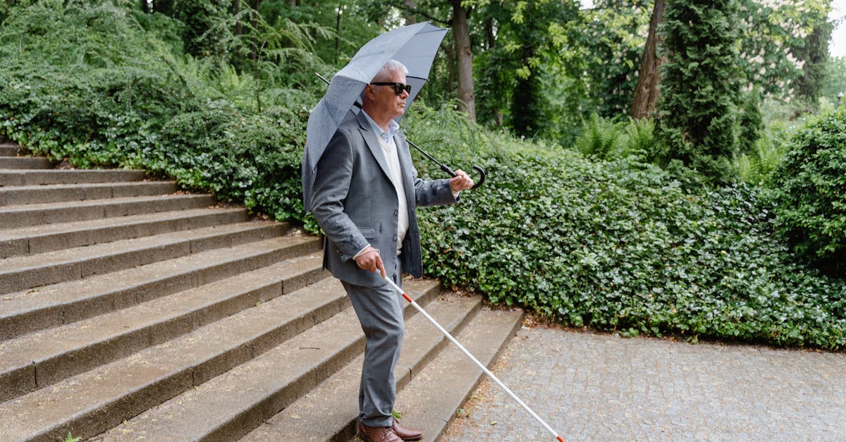 國際身心障礙者日 新北公園體驗無障礙樂趣