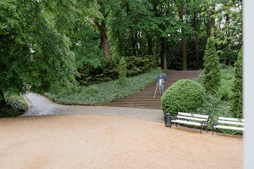 Gratis stockfoto met begeleiding, bijstand, blind