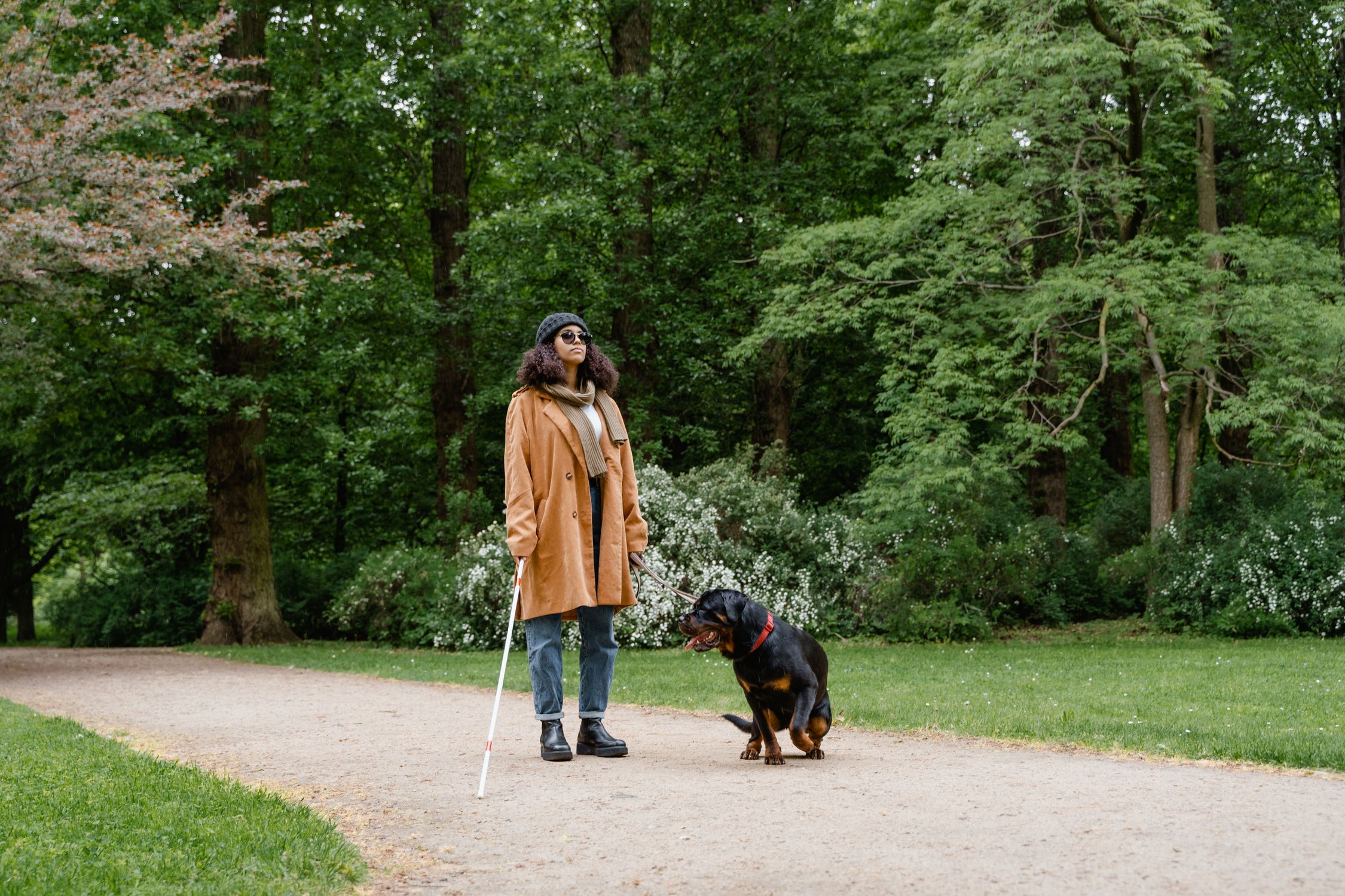 Woman with guide dog and walking stick enjoying a stroll in a lush green park.