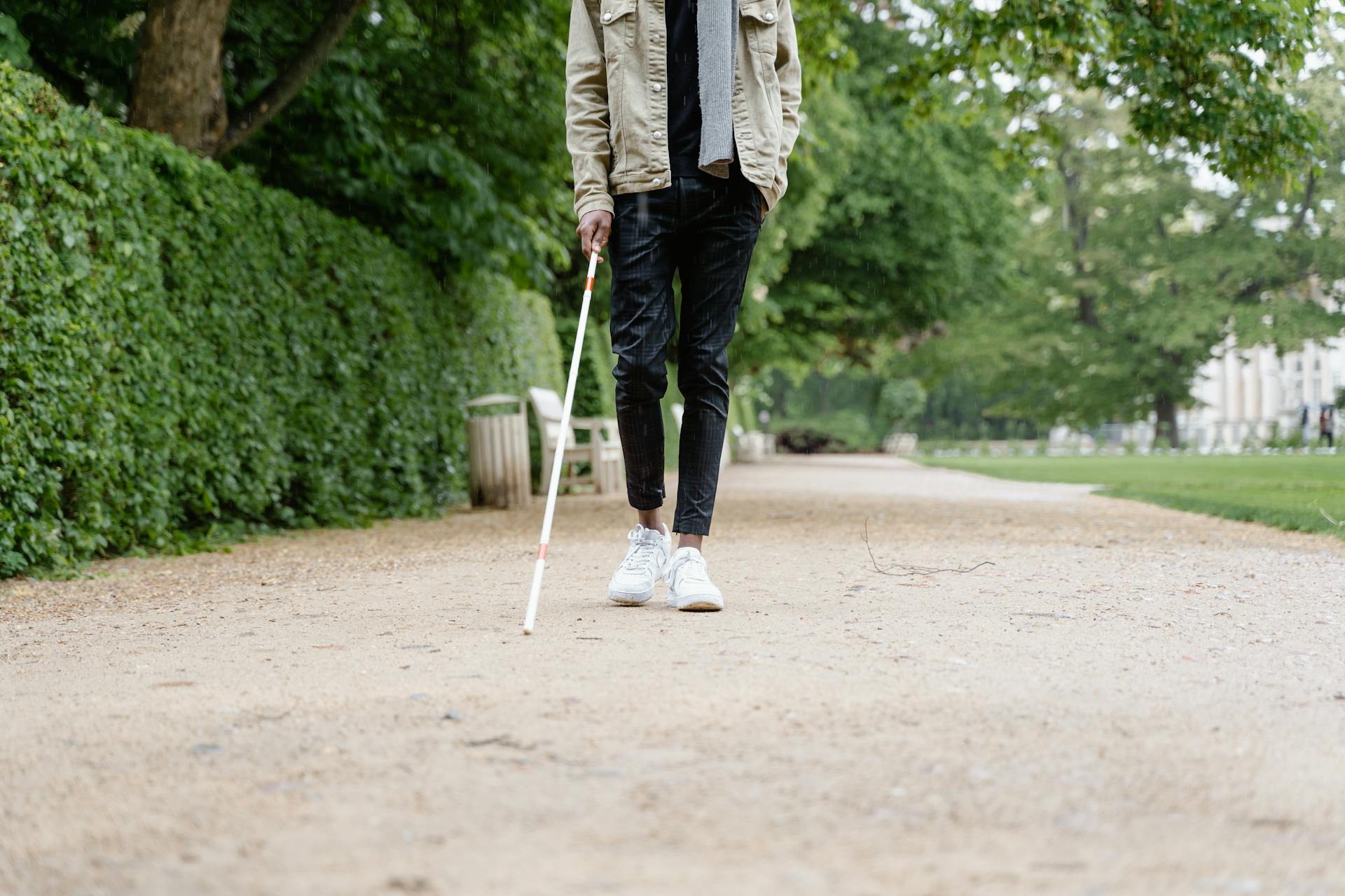 Person in the Park Holding a Walking Stick