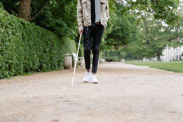 Person In The Park Holding A Walking Stick 