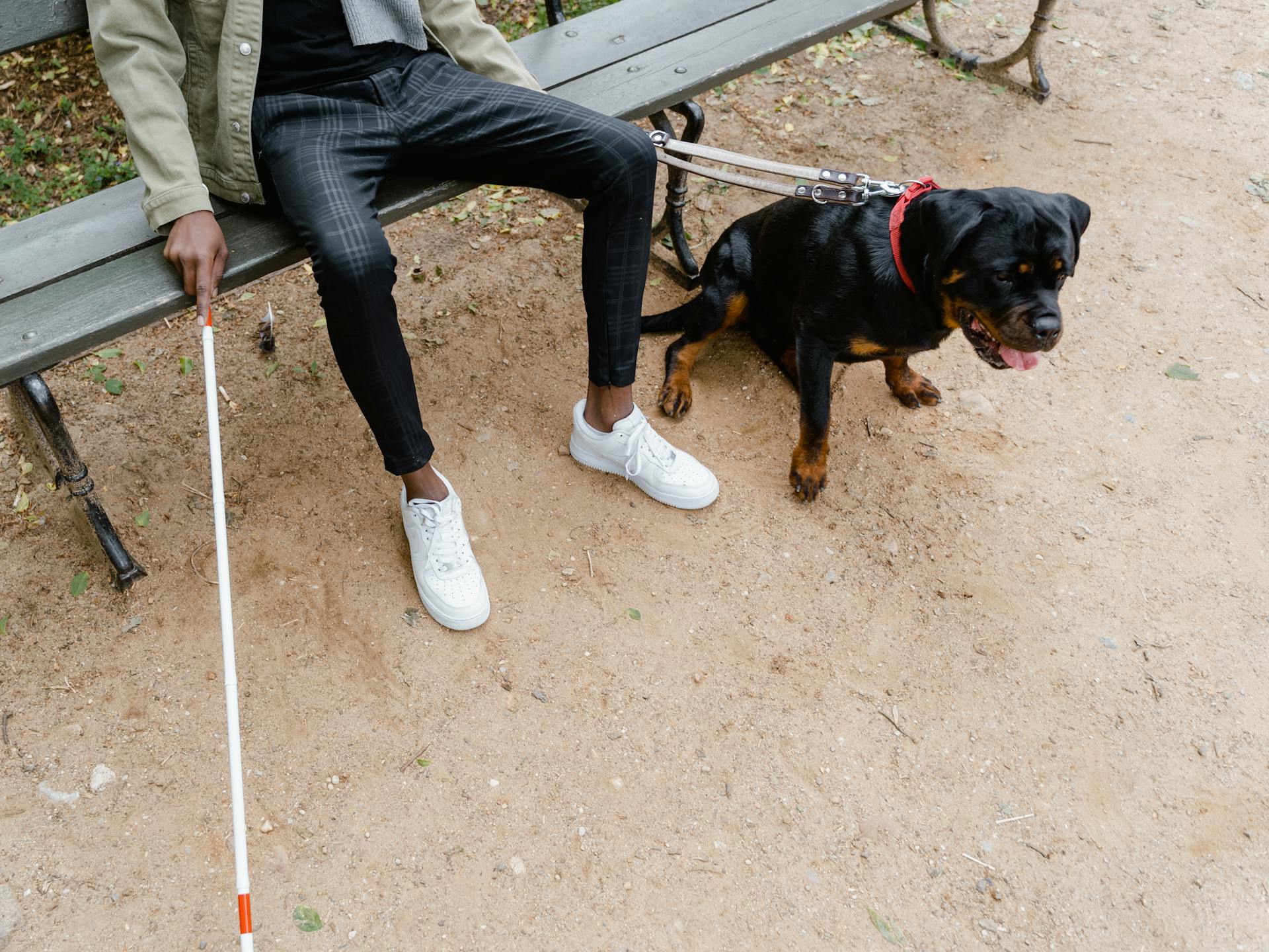 Person Holding a White Stick Sitting with a Dog