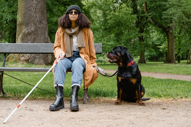 A Woman Sitting On Bench With Her Dog