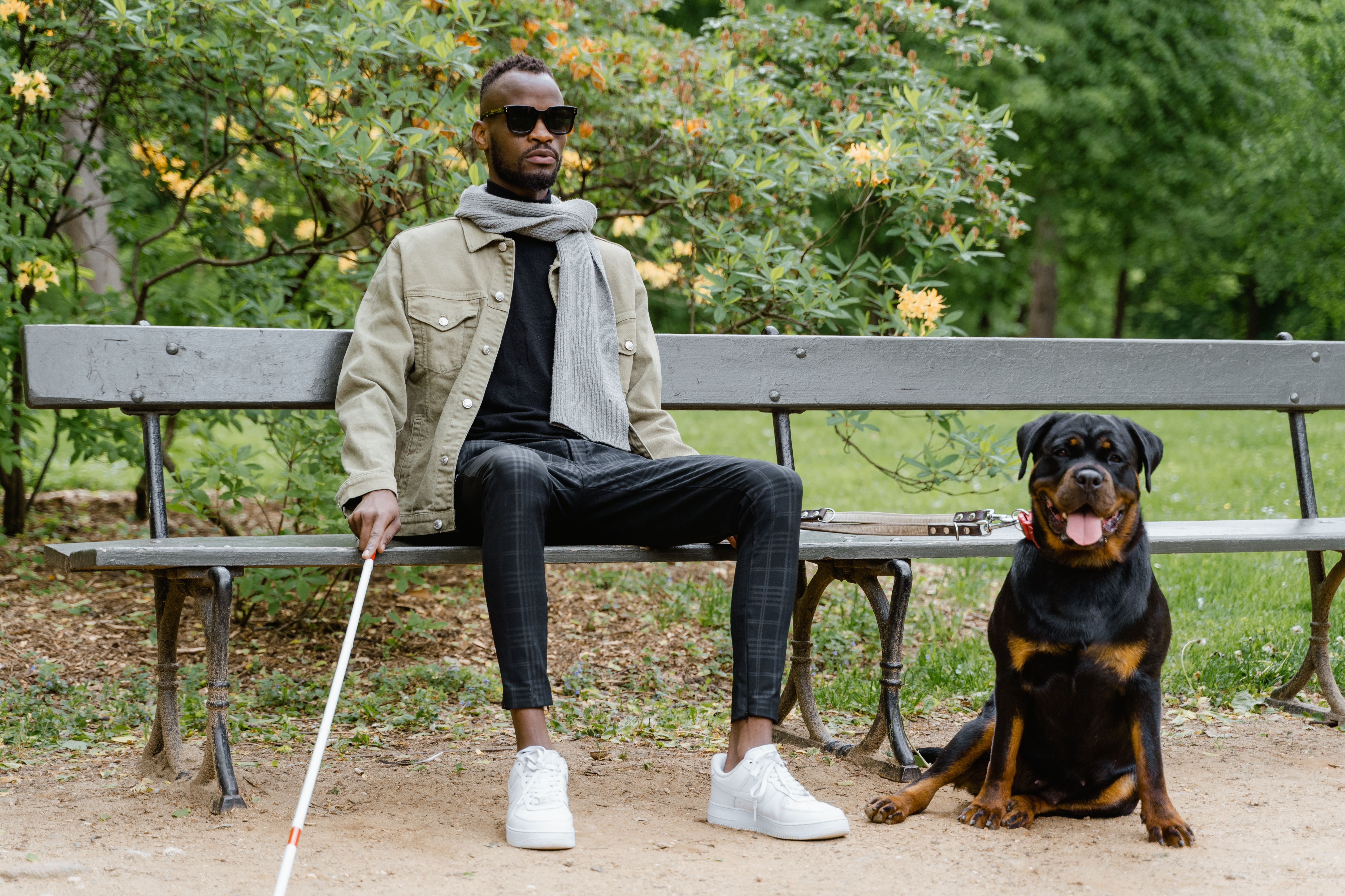 Top Men's Sunglasses Brands: History, Designs, and More