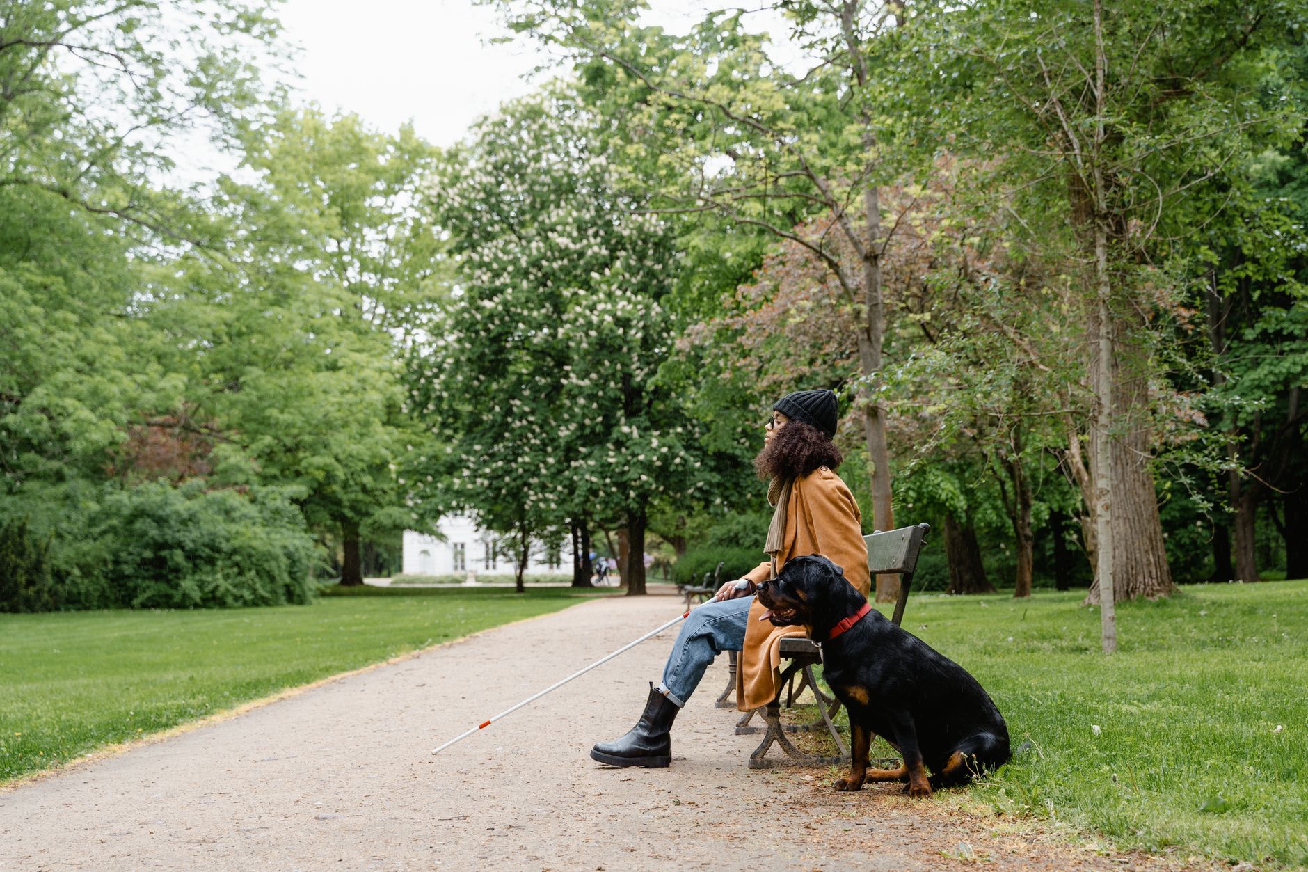 Understanding the Different Dog Allergy Sprays