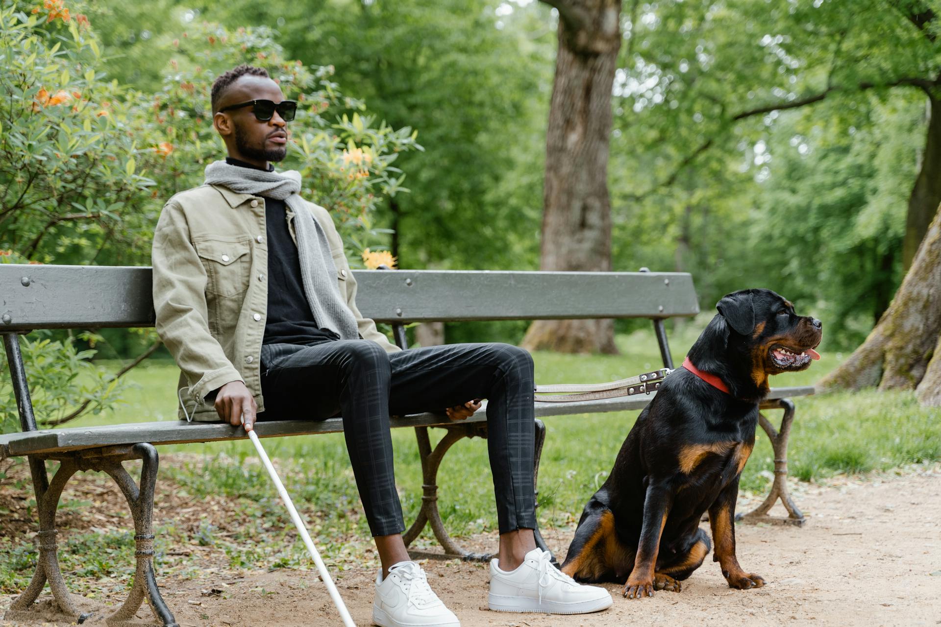 Man Sitting on a Bench with his Dog