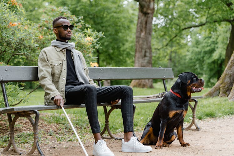 Man Sitting On A Bench With His Dog