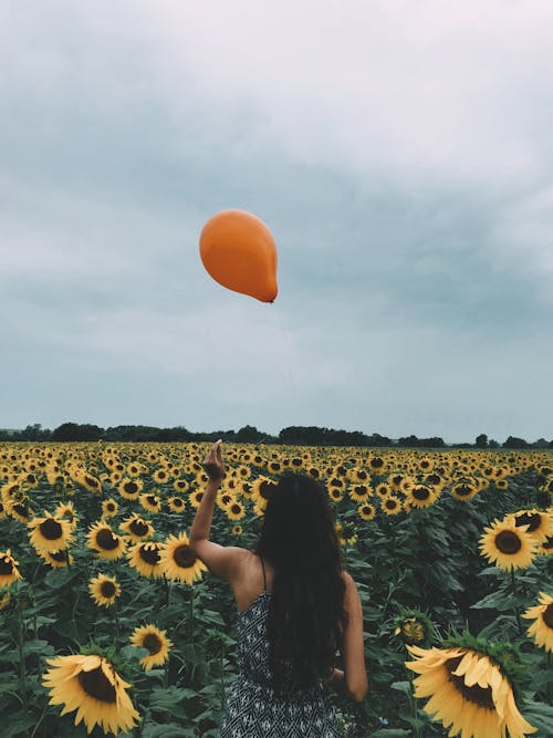 Back View of a Woman Standing in the Sunflower Field with a Balloon Flying away 