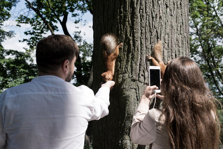 People Feeding Squirrels On Tree