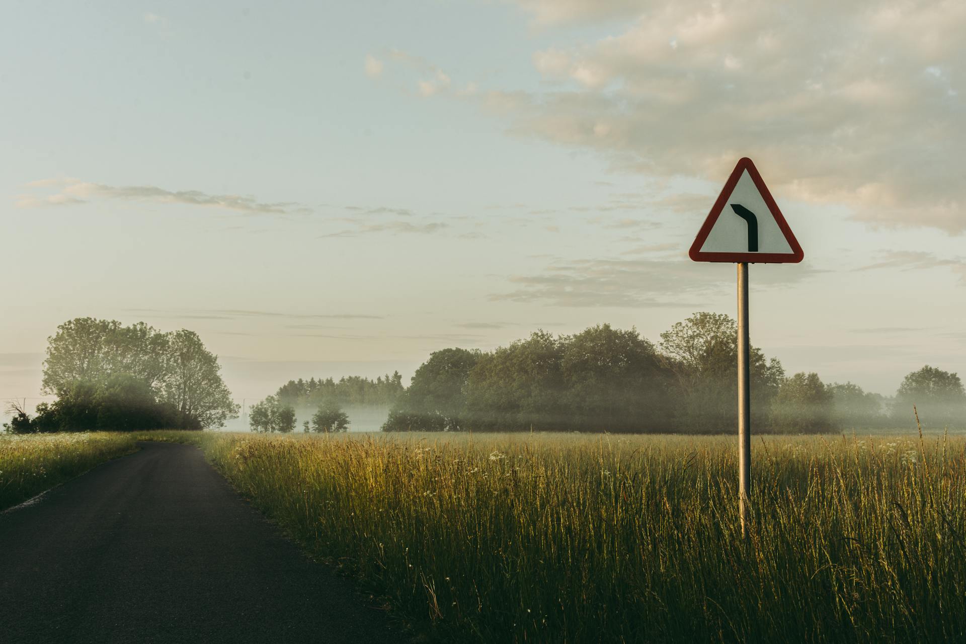 A foggy rural road scene with a curve warning sign and lush green fields.