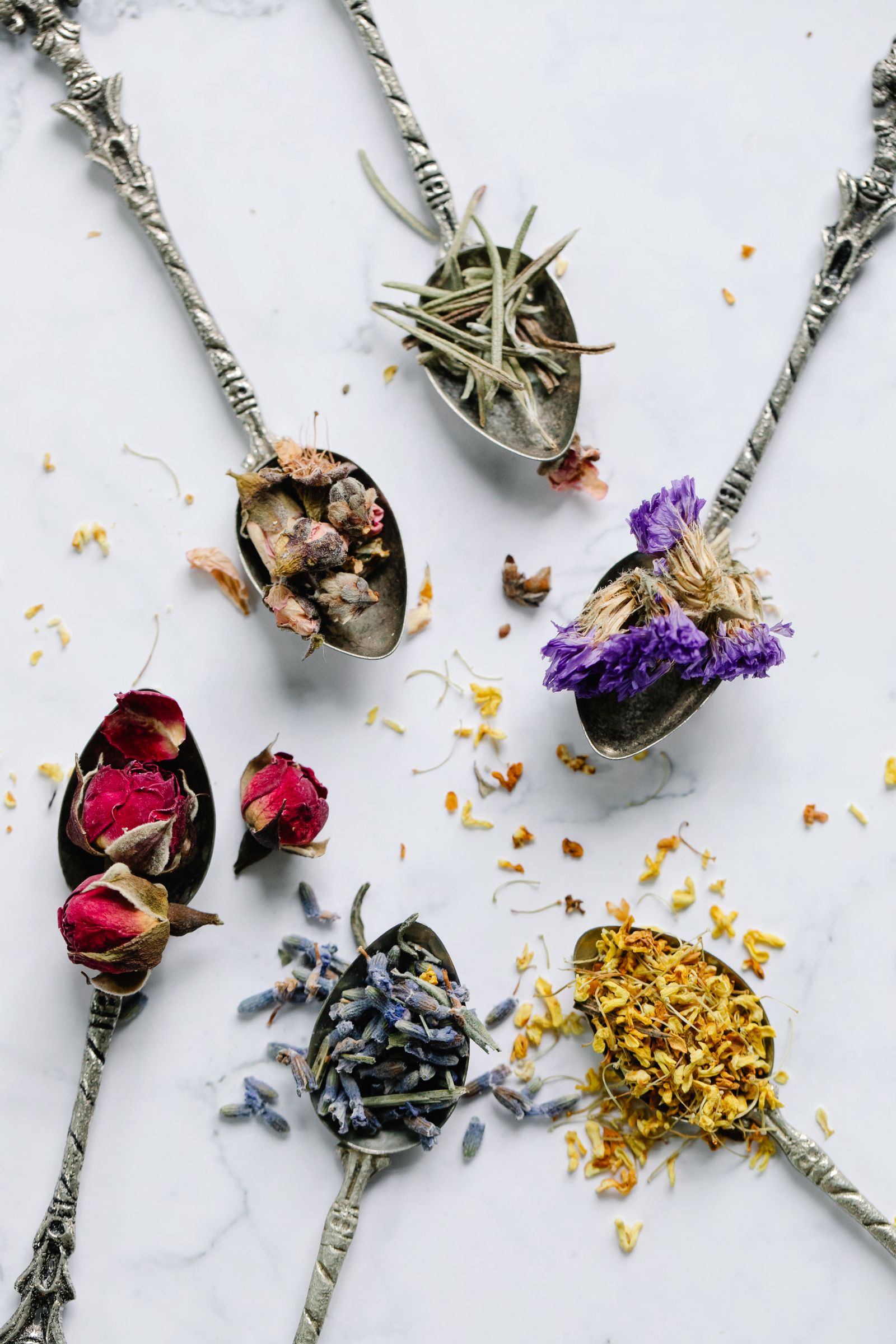 Herbal teas and apothecary jars