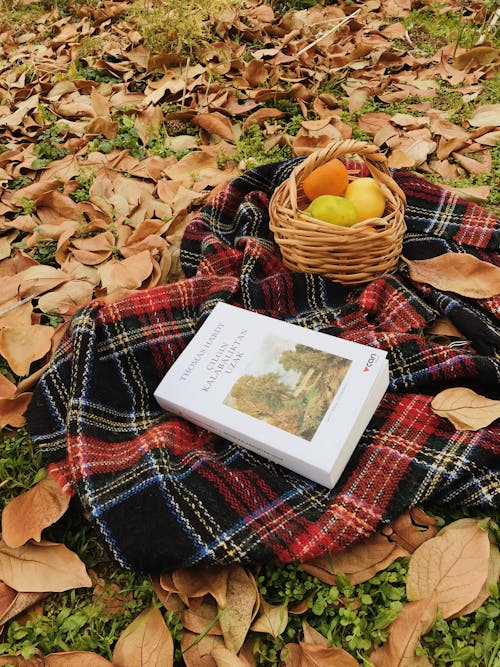 Immagine gratuita di cesto di vimini, coperta da picnic, foglie secche