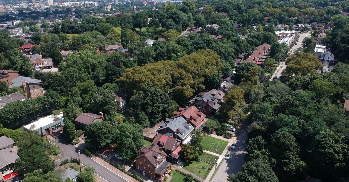 Aerial photo of a suburban area with tree-lined streets and residential homes, showcasing urban greenery.
