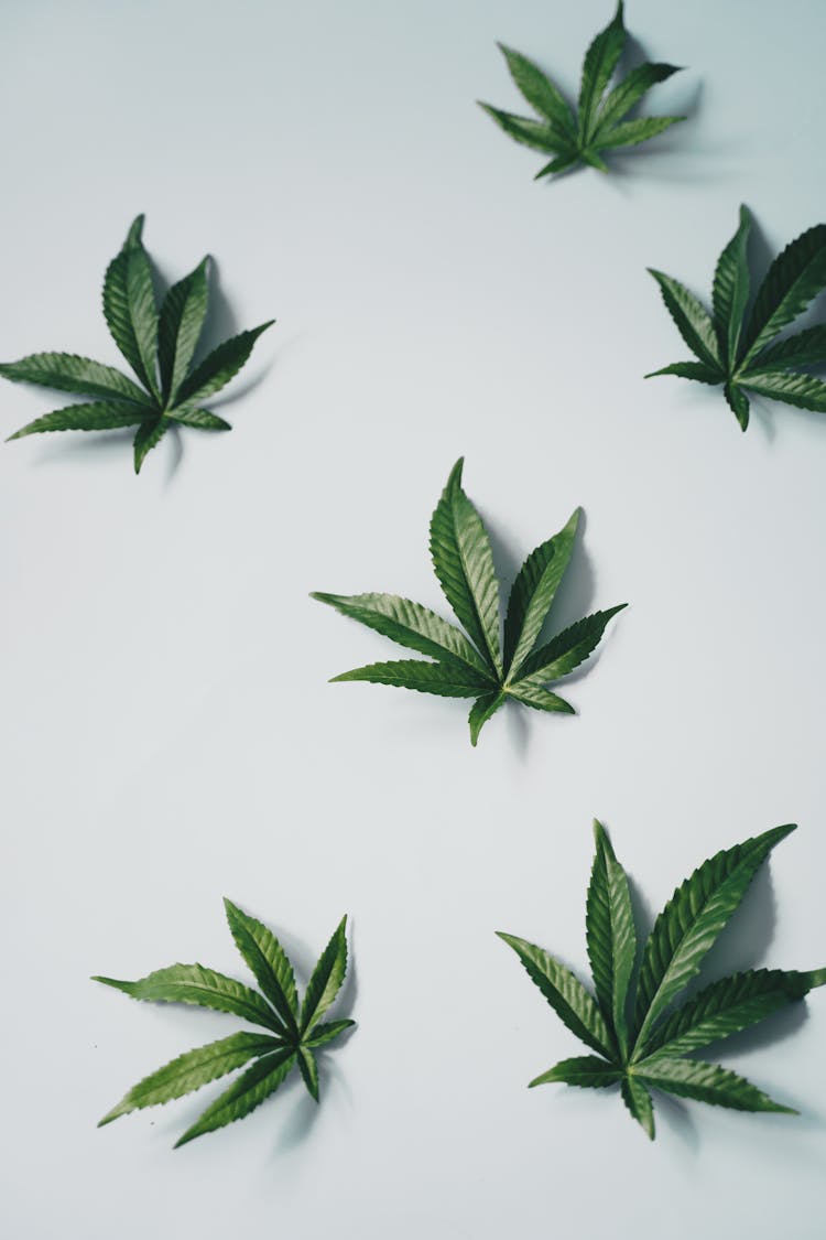 Marijuana Leaves On White Surface