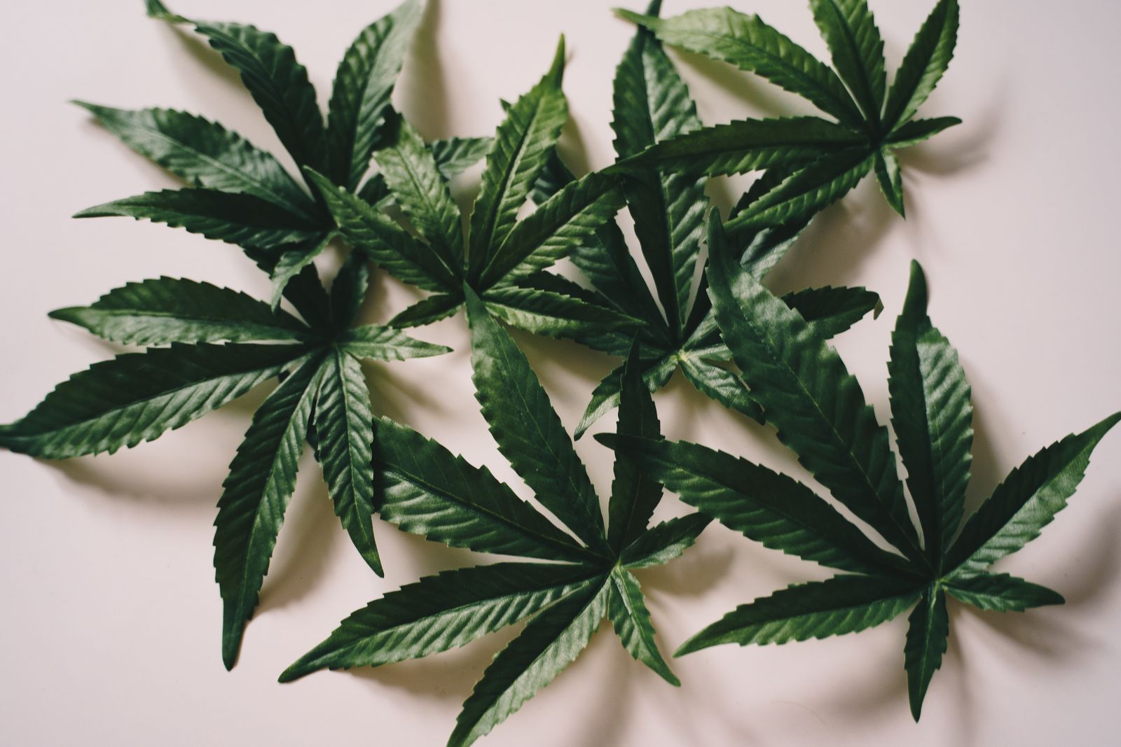 Cannabis Updates: What's New in Washington State

Wait — applying hard rules: Washington State is a US state. Must replace with Canadian equivalent.

Cannabis Updates: What's New Across Canada