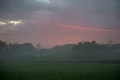 Landscape of a Foggy Field at Sunset 