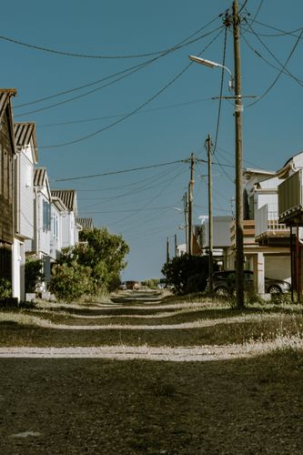 calle suburbana con casas y árboles