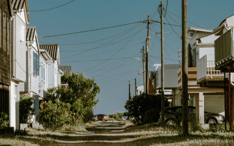 calle suburbana con casas y árboles