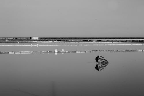 Gratis stockfoto met buitenkant, eenkleurig, gebied met water