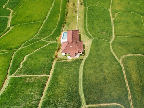 Gratis lagerfoto af agerjord, droneoptagelse, græsmark