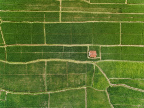 Aerial Photo of a House on a Grass Field