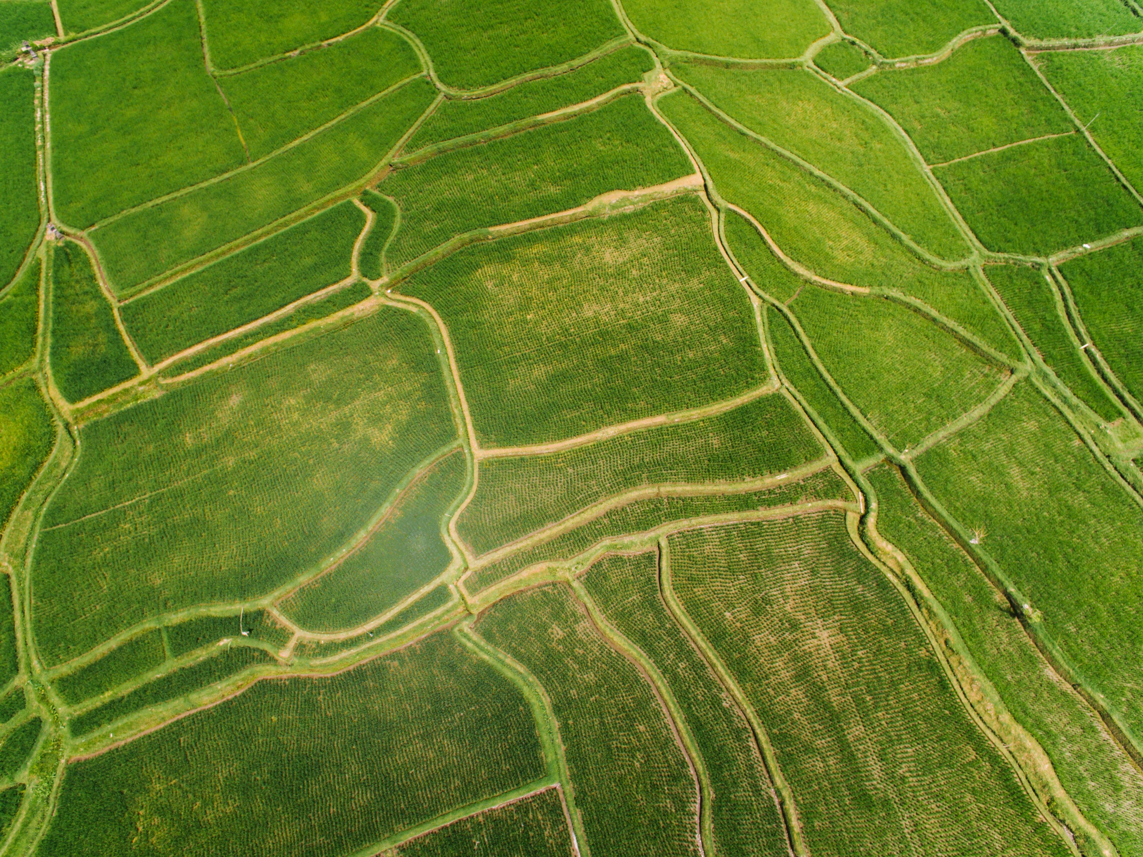 Biofarm background image