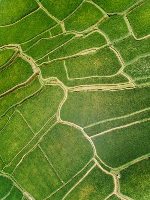 Gratis stockfoto met boerderij, decor, dronefoto