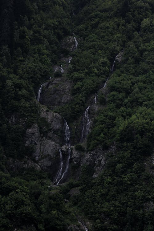 An Aerial Photography of a Waterfall Between Green Trees on Mountain