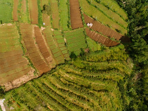 Ingyenes stockfotó drónfelvétel, farm, felülnézet témában