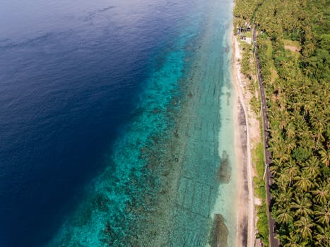 Stunning aerial shot of a coastline with lush greenery and a clear blue sea.